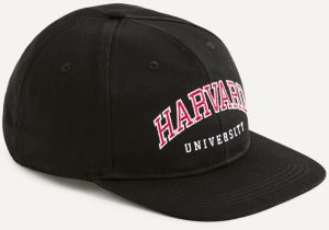 Šiltovka Harvard Celio