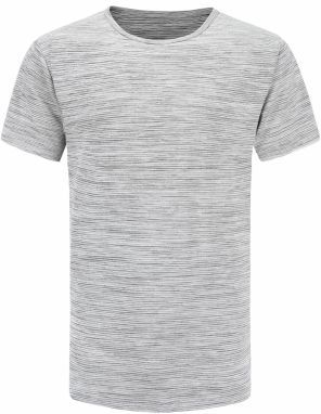 Men's quick-drying T-shirt ALPINE PRO VIAR dk.true gray