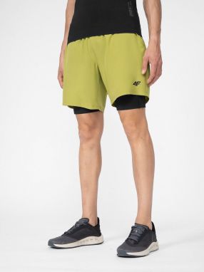 Men's Shorts 4F