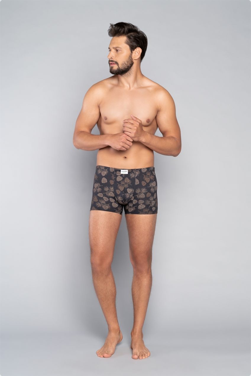 Men's boxers Pinus - print