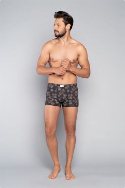 Men's boxers Pinus - print