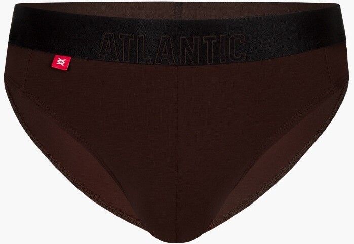 Men's briefs ATLANTIC - brown