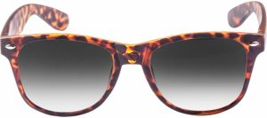 Sunglasses Likoma Youth havanna/grey