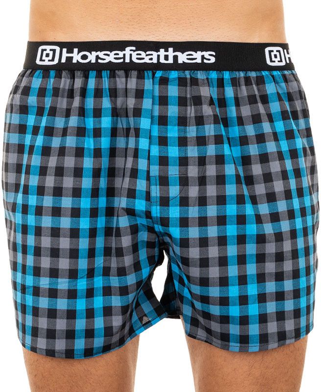 Men's shorts Horsefeathers Clay castlerock