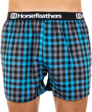 Men's shorts Horsefeathers Clay castlerock