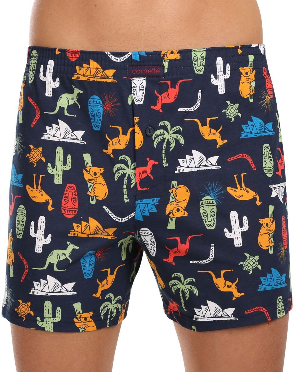 Men's shorts Cornette Classic multicolor