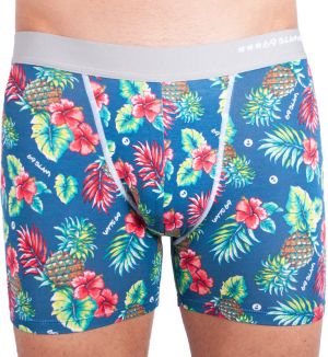 Men's boxers 69SLAM fit bamboo leilani