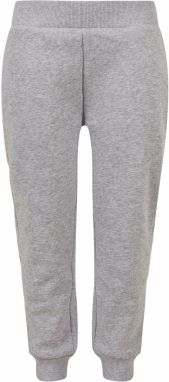 Boys' Bio Basic Sweatpants - Grey