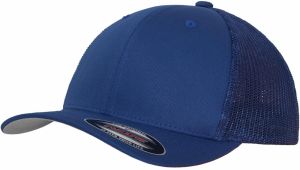 Flexfit Mesh Trucker royal