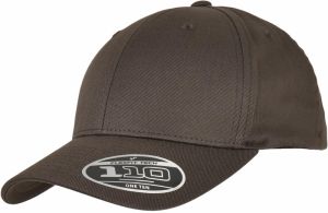 Flexfit 110 Curved Visor Snapback Dark Grey