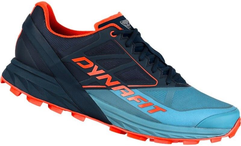 Men's Running Shoes Dynafit Alpine Storm blue
