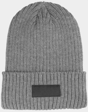 Men's Insulated Winter Hat 4F Grey
