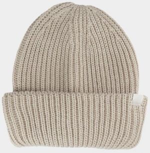 Men's winter hat 4F Light brown