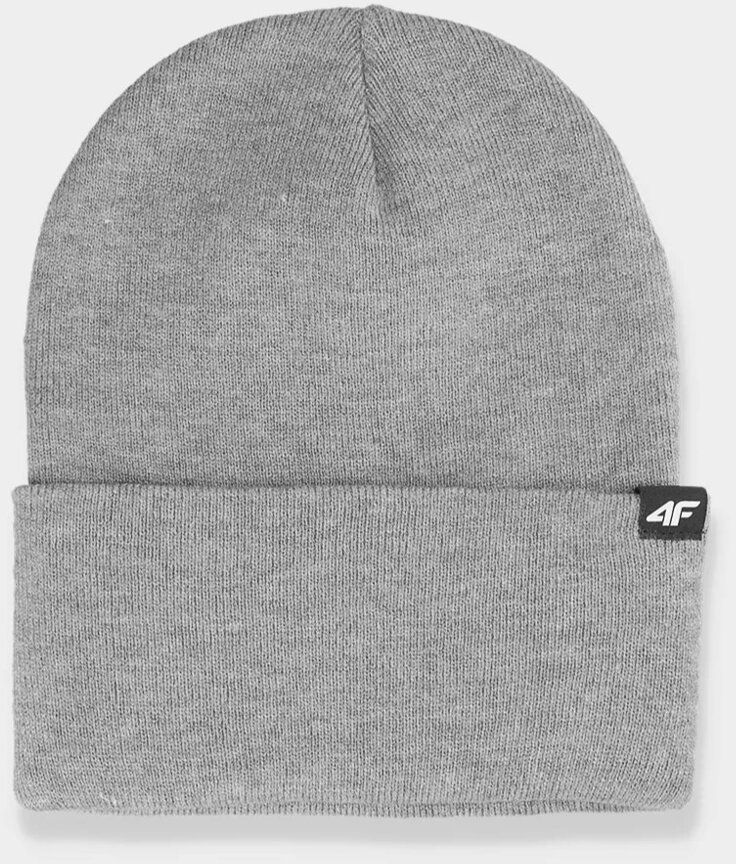 Double-layer winter hat 4F for men gray