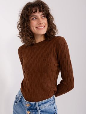 Brown classic sweater with long sleeves