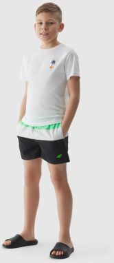 Boys' 4F Boardshorts Beach Shorts - Green