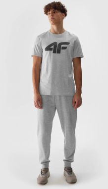 Men's jogger sweatpants 4F - grey