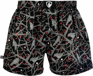Men's boxer shorts Represent exclusive Ali Hitchcock ́s Dream