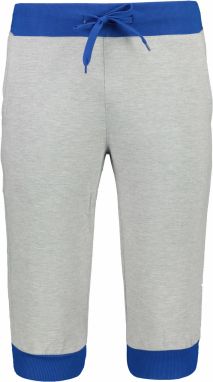 Pánske kraťasy Ombre Basic