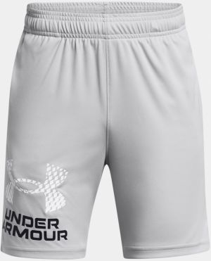 Svetlosivé športové kraťasy Under Armour UA Tech Logo Shorts