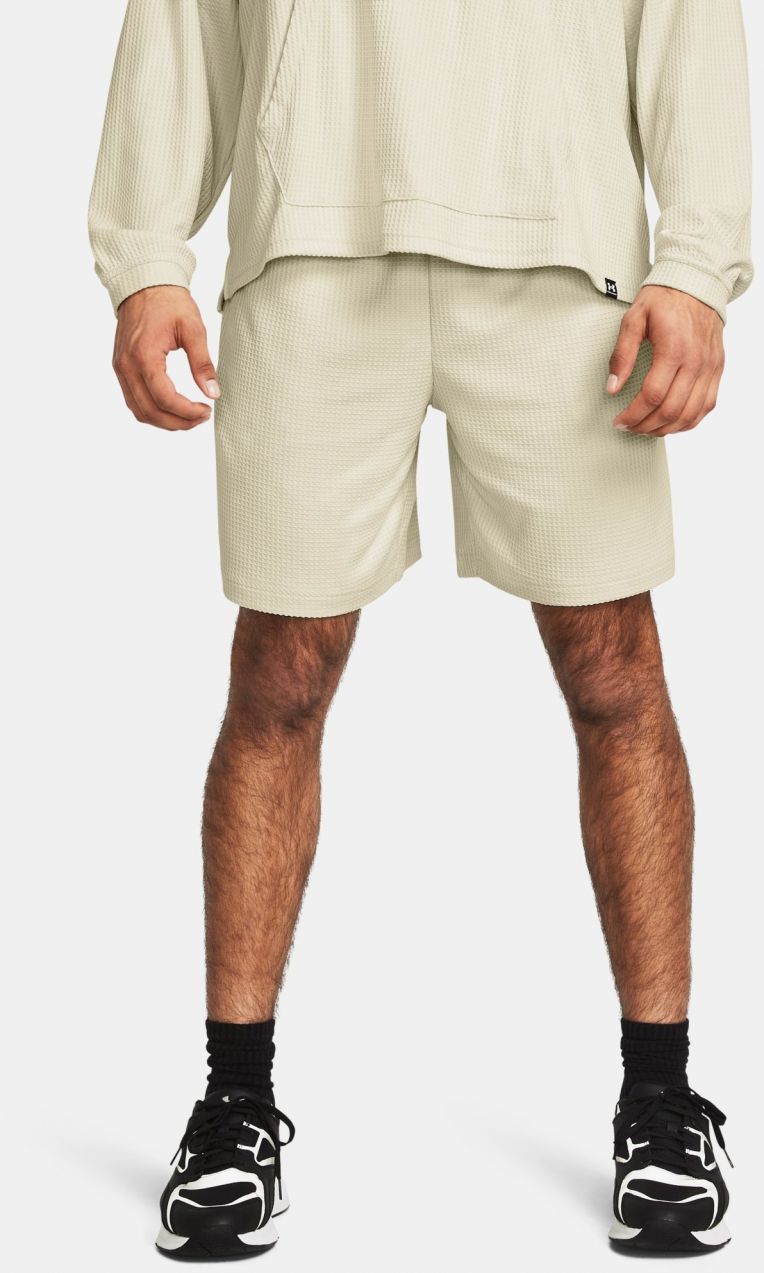 Pánske kraťasy Under Armour
