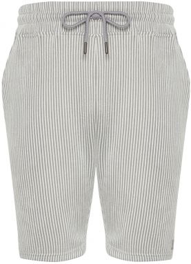 Trendyol Gray Striped Regular Cut Shorts