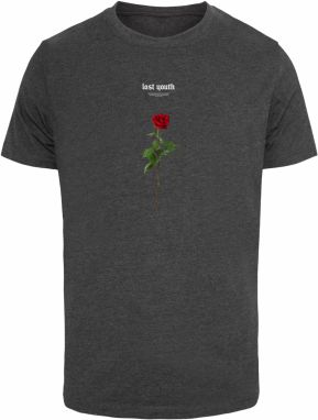 Men's T-shirt Lost Youth Rose - grey