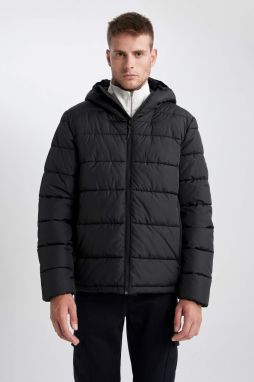 DEFACTO Waterproof Regular Fit Hooded Puffer Jacket