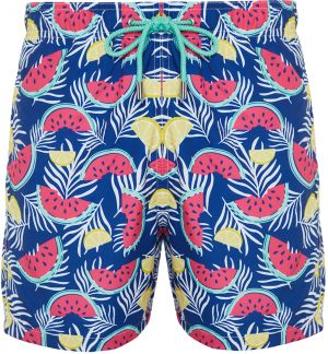 Trendyol Multi Color Standard Size Watermelon Print Swim Shorts