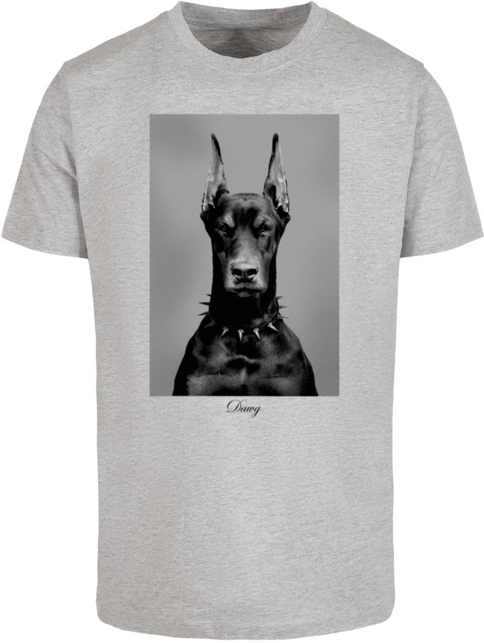 Men's T-shirt Dawg grey