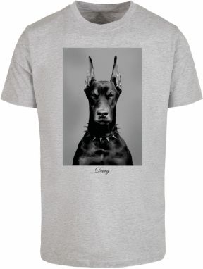 Men's T-shirt Dawg grey
