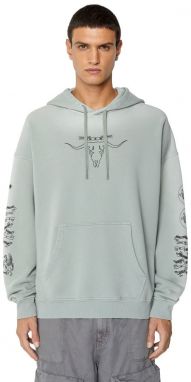 Diesel Mikina - S-UMMER-E6 SWEAT-SHIRT sivá