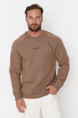 Trendyol Mink Regular/Normal Cut Raglan Sleeve Text Printed Sweatshirt