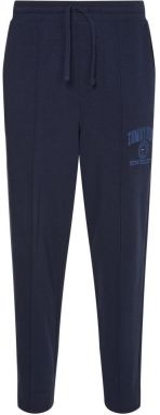 Tommy Jeans Tepláky - TJM COLLEGIATE BAXTER SWEATPANT modré