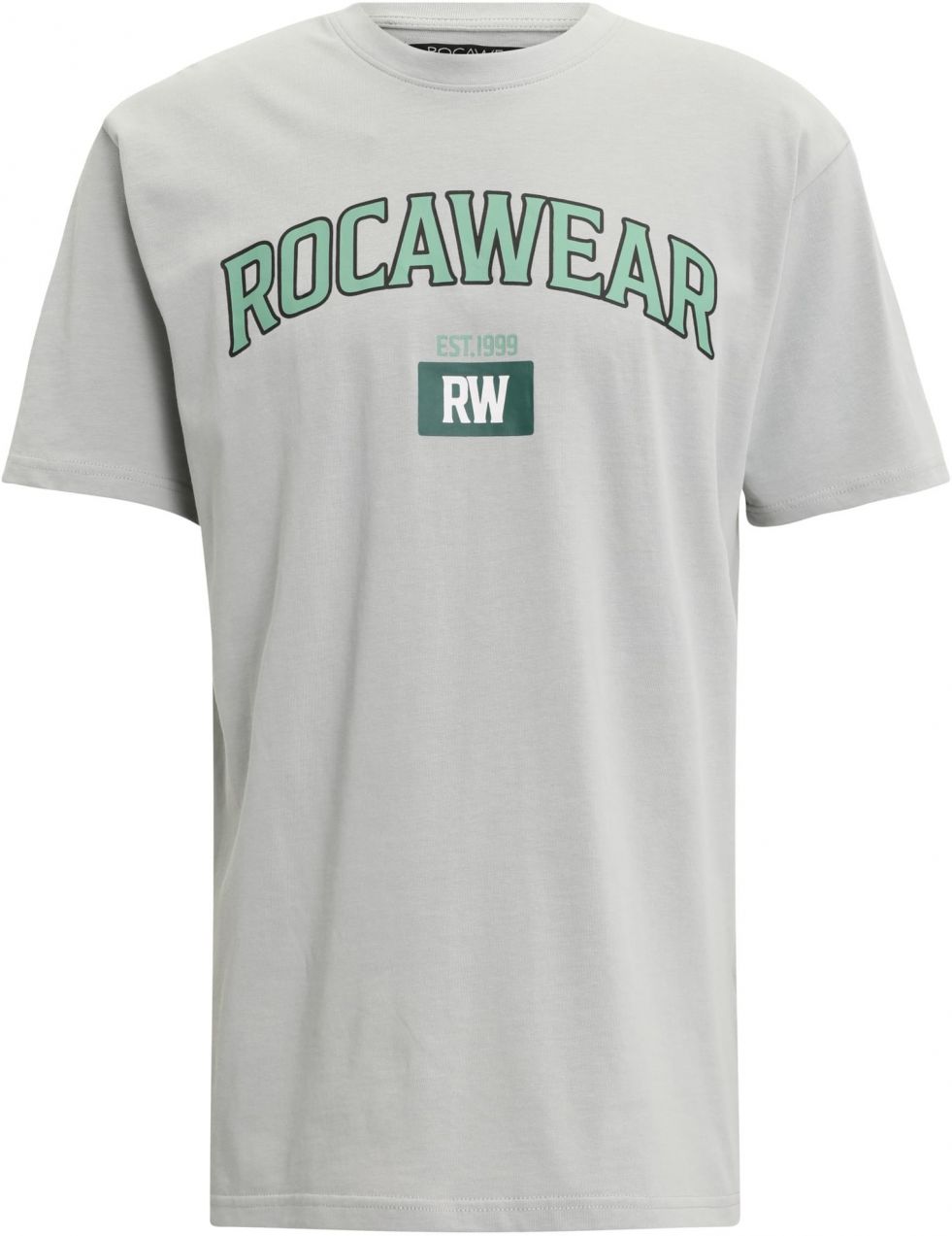 Men's T-shirt Est.1999 grey