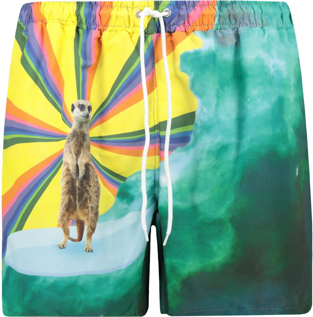 Mr. GUGU & Miss GO Man's Swimwear ST422