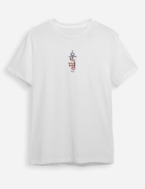 Trendyol White Far East Printed Regular/Normal Cut T-shirt