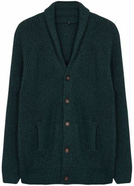 Trendyol Emerald Green FL Men's Regular Shawl Collar Melted Knitwear Cardigan