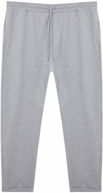 Trendyol Plus Size Gray Regular Fabric Trousers
