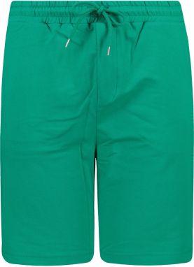 Trendyol Men's Green Regular Fit Paneled Shorts