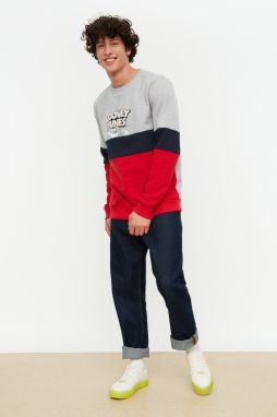Trendyol Gray Men's Licensed Looney Tunes Printed Regular Fit Crewneck Paneled Sweatshirt