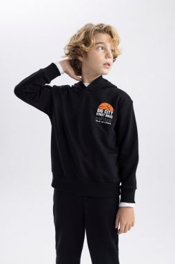 DEFACTO Boy's Printed Hooded Thick Sweatshirt