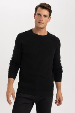 DEFACTO Standard Fit Crew Neck Sweater