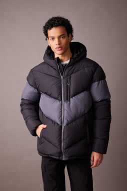 DEFACTO Water Repellent Regular Fit Hooded Jacket