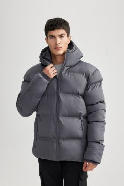 DEFACTO Water Repellent Regular Fit Hooded Puffer Jacket