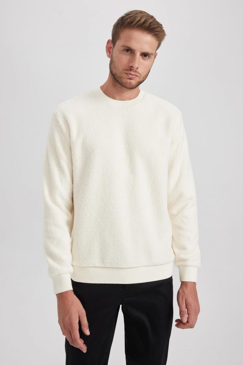 DEFACTO Regular Fit Crew Neck Plush Sweatshirt