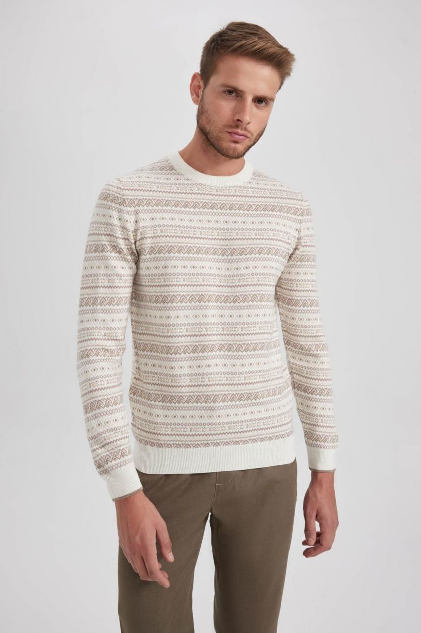 DEFACTO Standard Fit Patterned Crew Neck Sweater