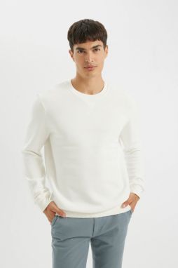 DEFACTO Regular Fit Crew Neck Thick Sweatshirt