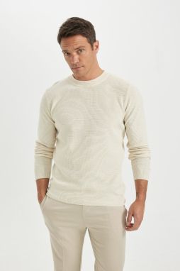 DEFACTO Standard Fit Crew Neck Sweater