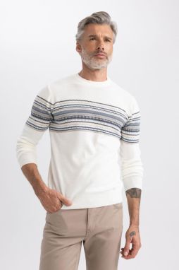 DEFACTO Standard Fit Patterned Crew Neck Sweater